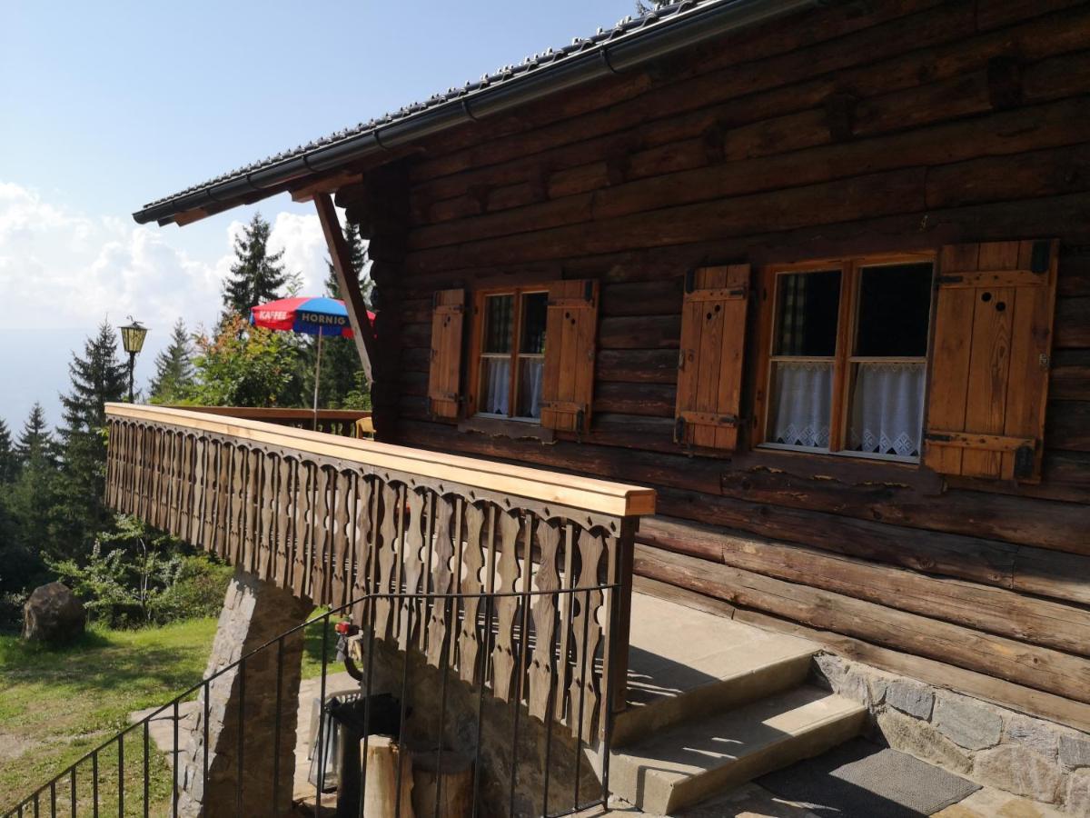 Almhaus Oedlstein Villa Sankt Stefan im Lavanttal Buitenkant foto
